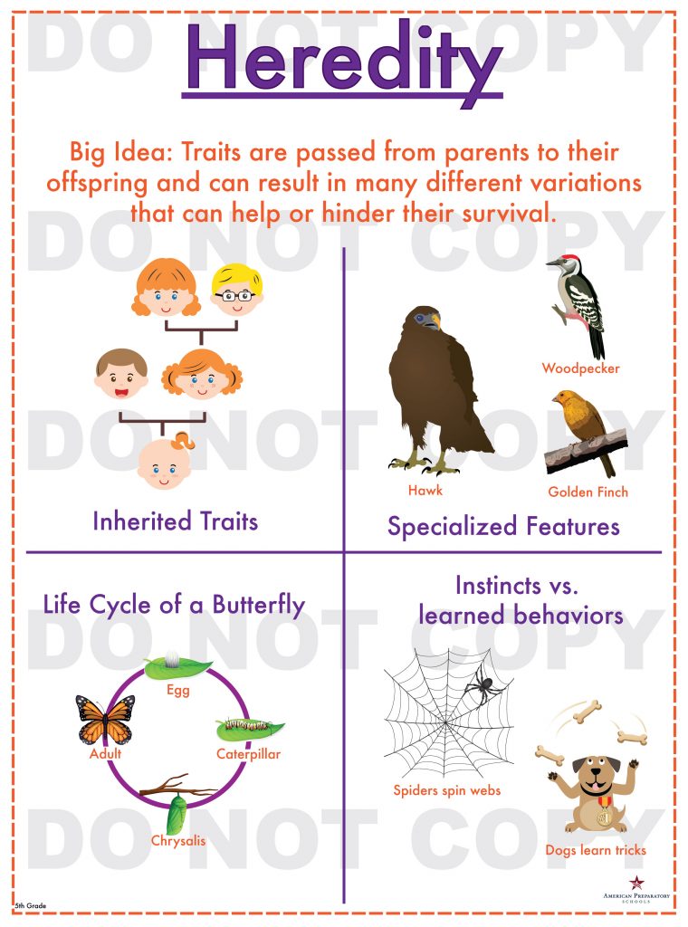 heredity-5th-grade-american-preparatory-schools